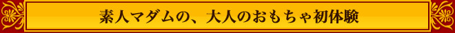 大人のおもちゃ初体験