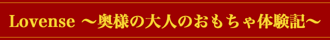 奥様の大人のおもちゃ体験記